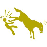 Letselschade na trap van paard
