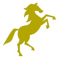 Letselschade door val van paard