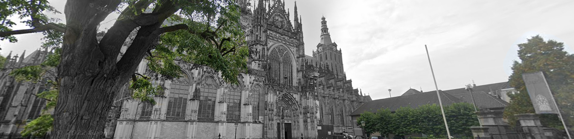 Letselschade Advocaat Hertogenbosch
